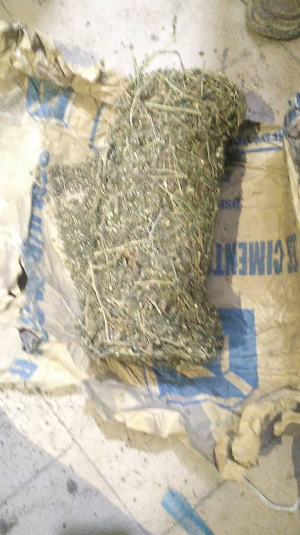 Porokhane / Keur Moussa : Saisie de 04 colis de chanvre indien d'une valeur de 32 millions de fcfa.