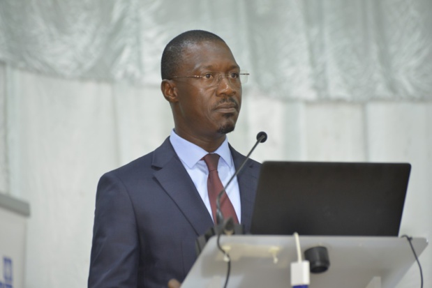 Campagne de commercialisation agricole des arachides : Les vives préoccupations du Conseil national du Crédit du Sénégal.