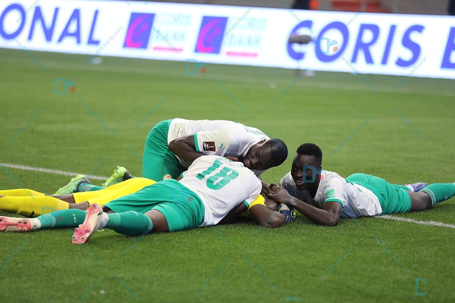 Les Lions du Sénégal au rendez-vous du Mondial