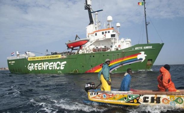 Tenue d’un conseil présidentiel sur la Pêche : Greenpeace/Afrique rappelle à Macky Sall sa promesse.
