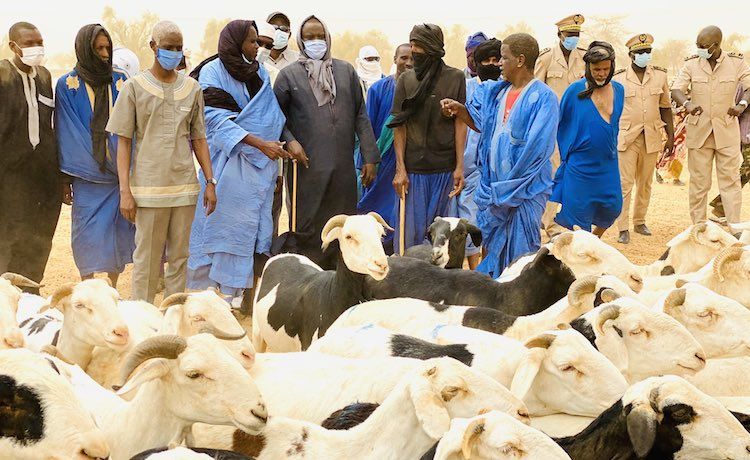 Tabaski 2022 : Le Sénégal suspend ses taxes sur le bétail pour les éleveurs mauritaniens.
