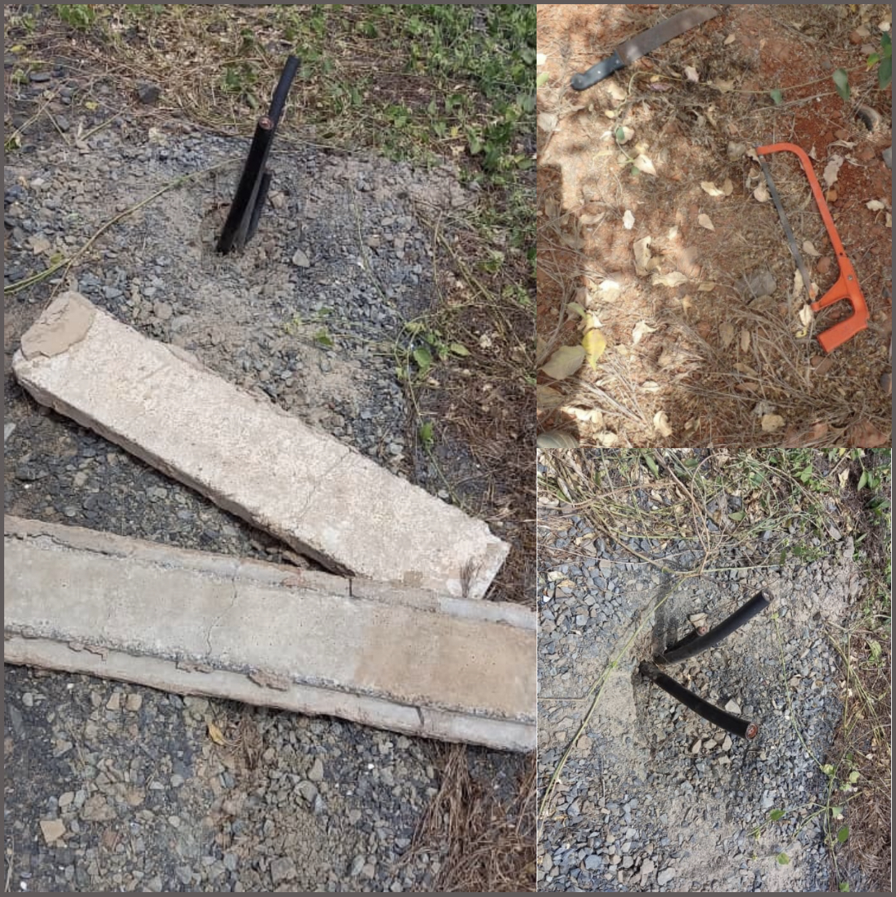 Foret classée de Mbao : des actes de vandalisme perturbent le fonctionnement du TER.