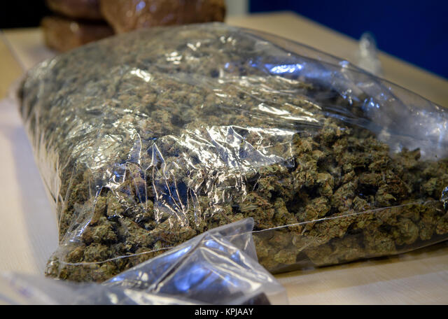 Kédougou / Moussala : saisie de 51 paquets de haschich d'un poids de 5kg et d'une valeur de 50.000.000 francs.