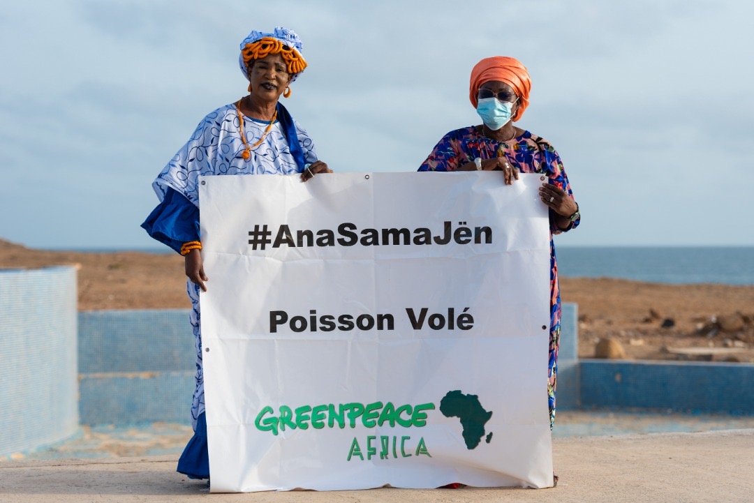 Conservation des écosystèmes : Greenpeace lance la campagne « AnaSamaJën »