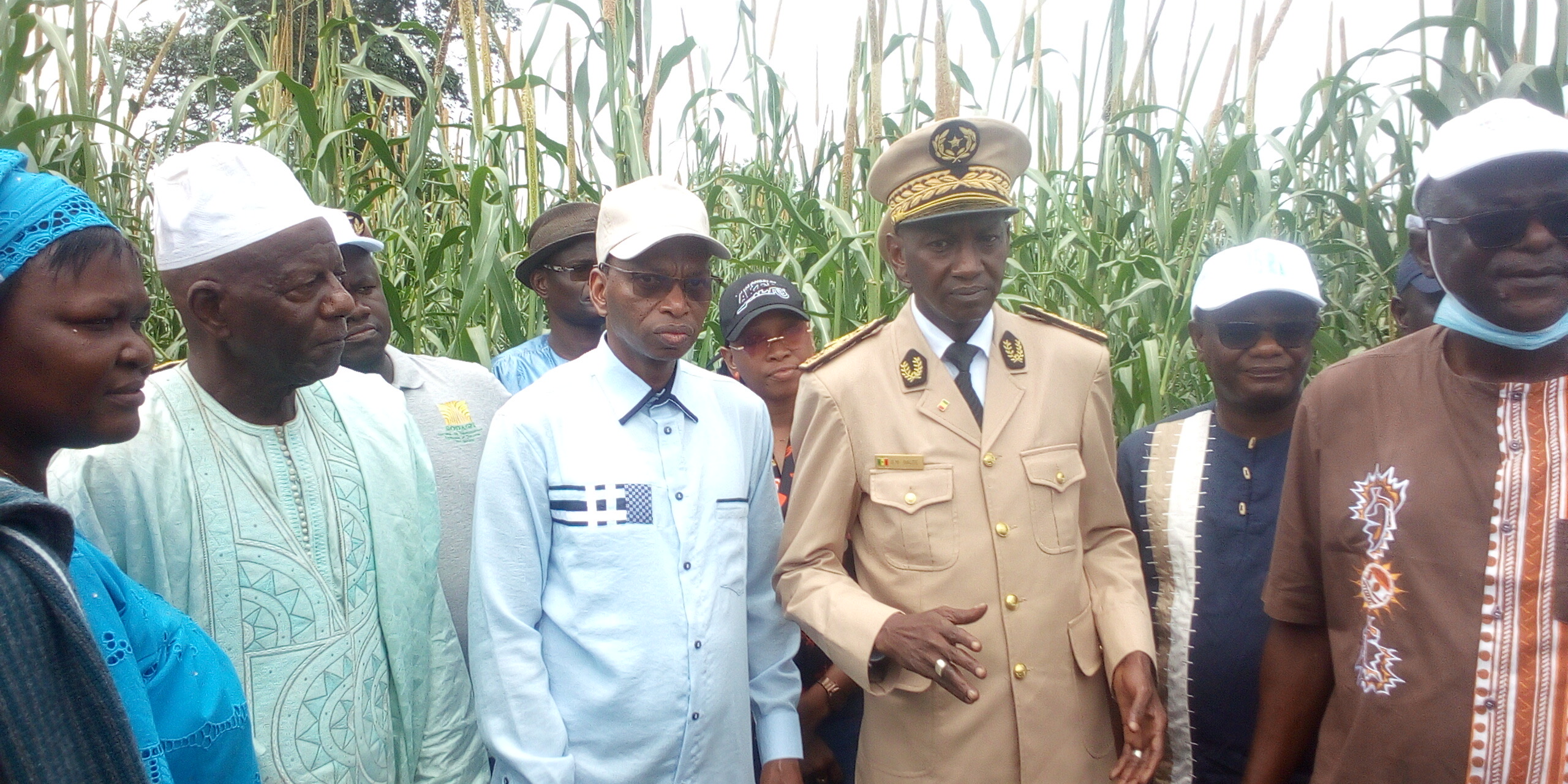 Campagne de suivi agricole à Tamba : « Nous espérons, comme en 2020, avoir des productions très importantes, car nous devons asseoir une souveraineté alimentaire… » ( Moussa Baldé, MAER)