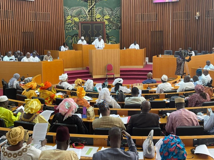 Logements sociaux et cadre de vie : Les 100 mille questions des députés à Abdoulaye Seydou Sow