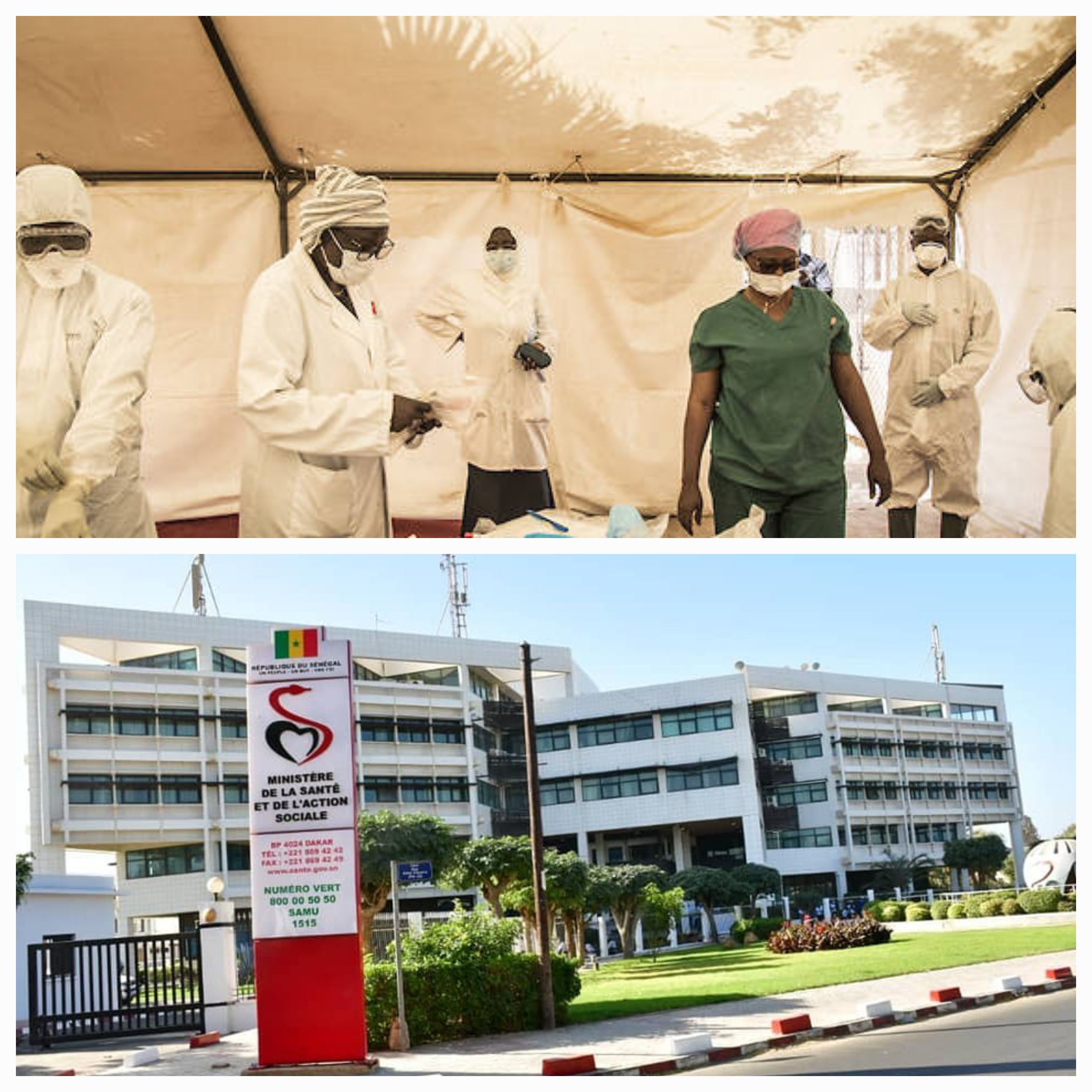 RAPPORT DÉFINITIF DE LA COUR DES COMPTES 2022 SUR LA COVID-19 : L’État perd plus de 900 millions dans l’acquisition d’équipements de protection individuelle, le DAGE du MSAS sermonné