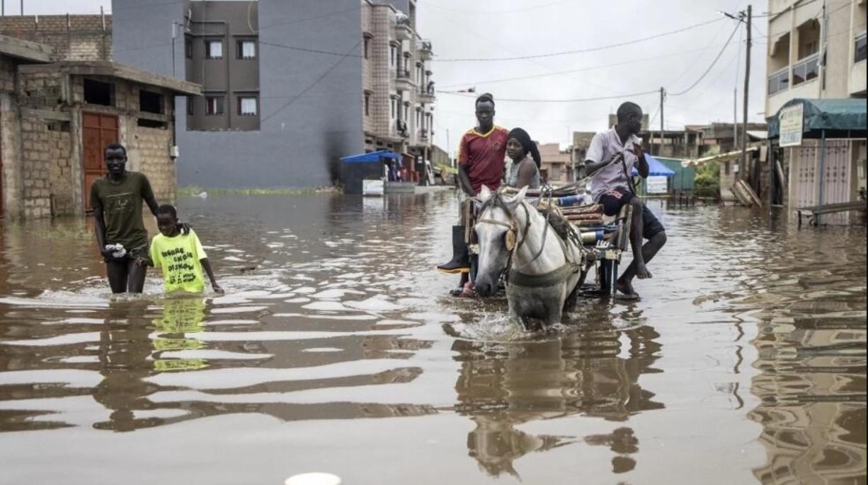 Rétro 2022 - Meurtres en série, inondations, flambée des prix : La société sénégalaise «en sursis…» 