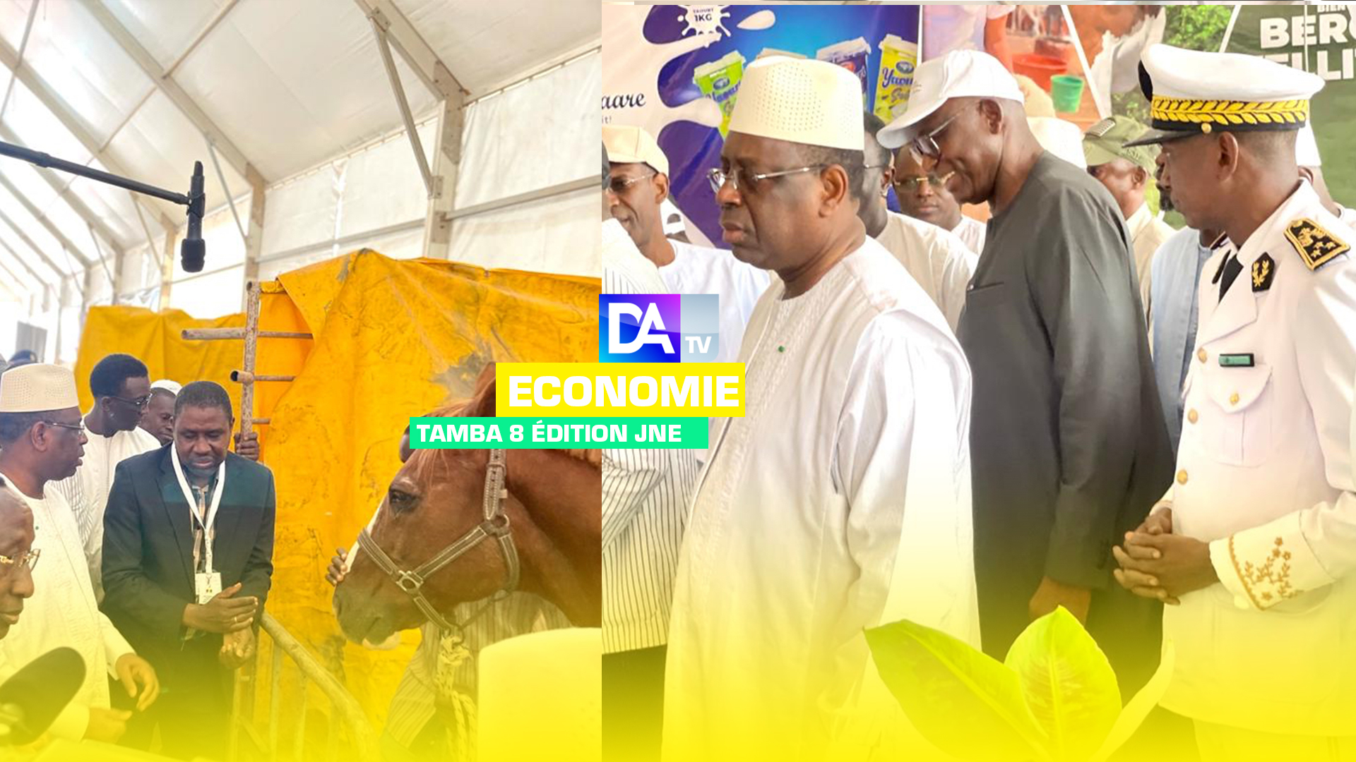 JNE / Politique de développement de l’élevage : Le Président Macky Sall salue les performances enregistrées dans ce secteur