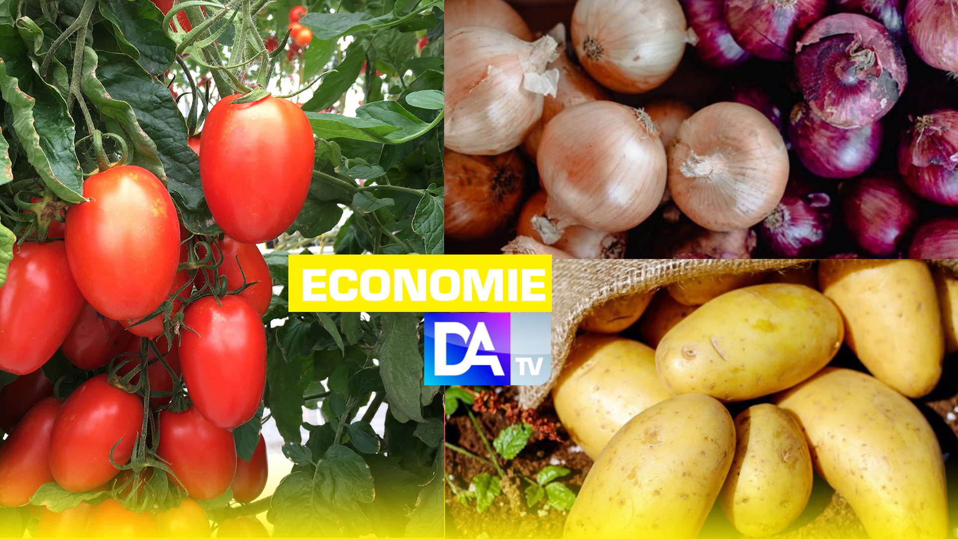 Interdiction d'exporter  tomate, oignon et  pomme de terre : Le Maroc « dégraisse » l’Afrique de l’Ouest pour se gaver…