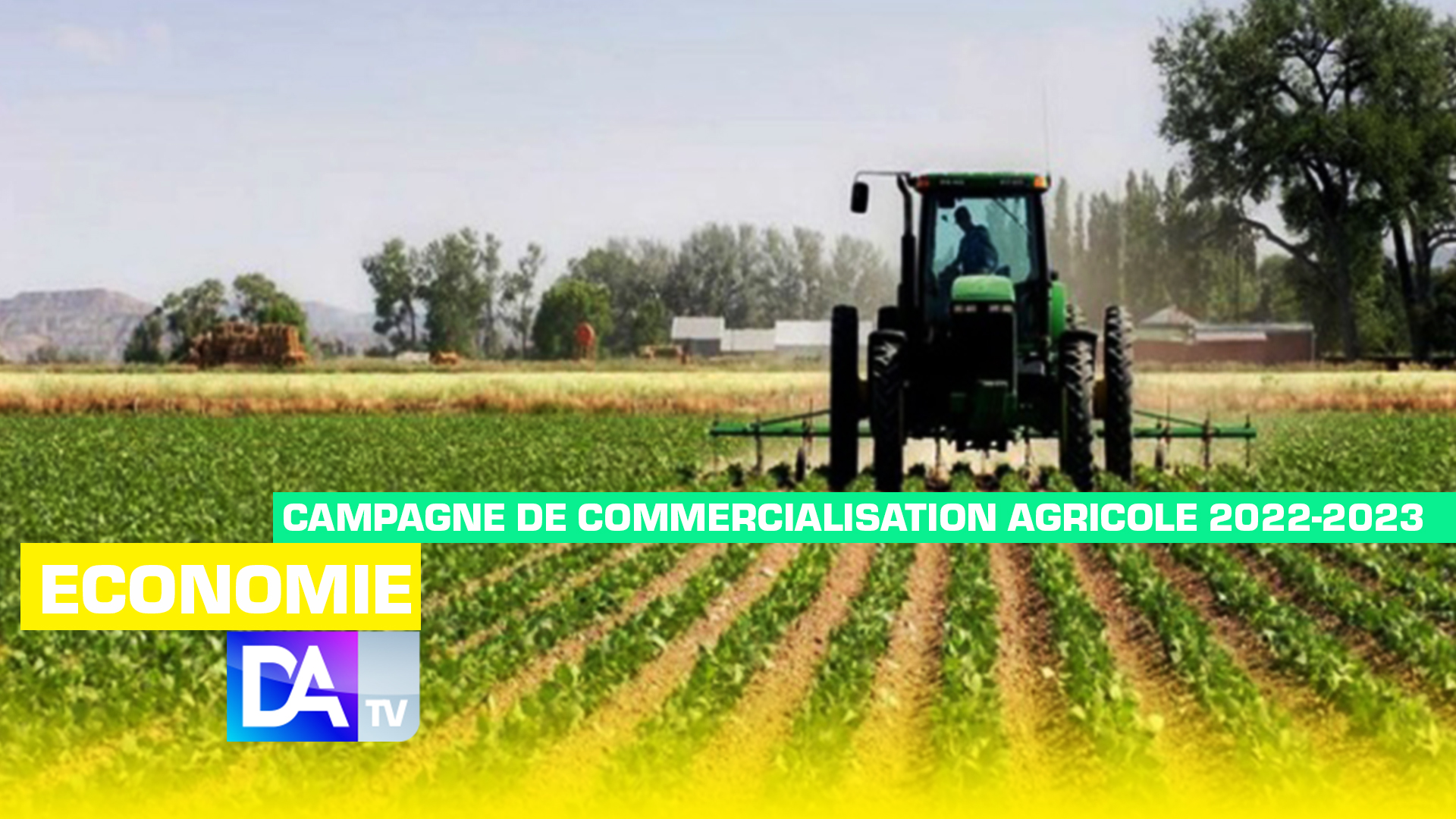 Campagne de commercialisation agricole 2022-2023 : des risques importants de répercussion sur la disponibilité des semences pour les campagnes de production 2023 (CNC)