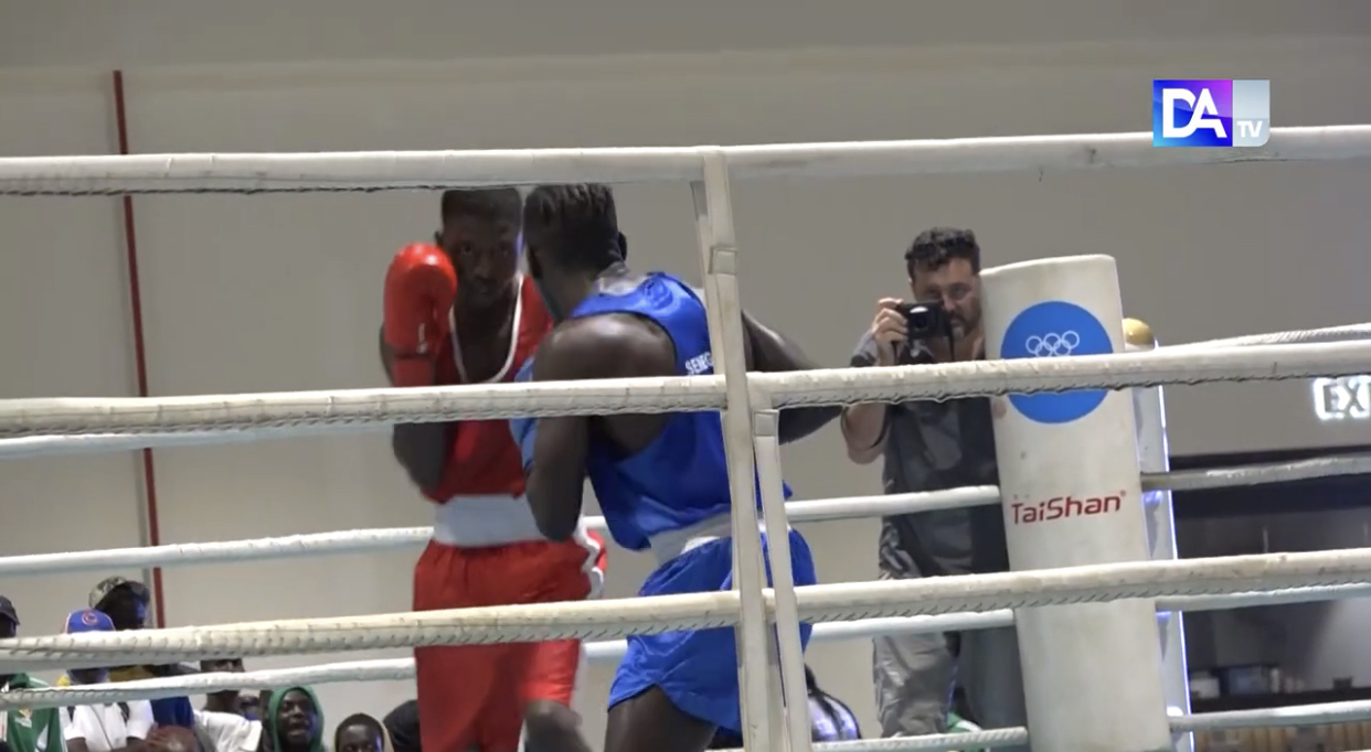 Gants De Boxe Skwale Pretender "Sénégal" Flag - Cuir Synthétique Résistant Avec Mousse Haute Densité