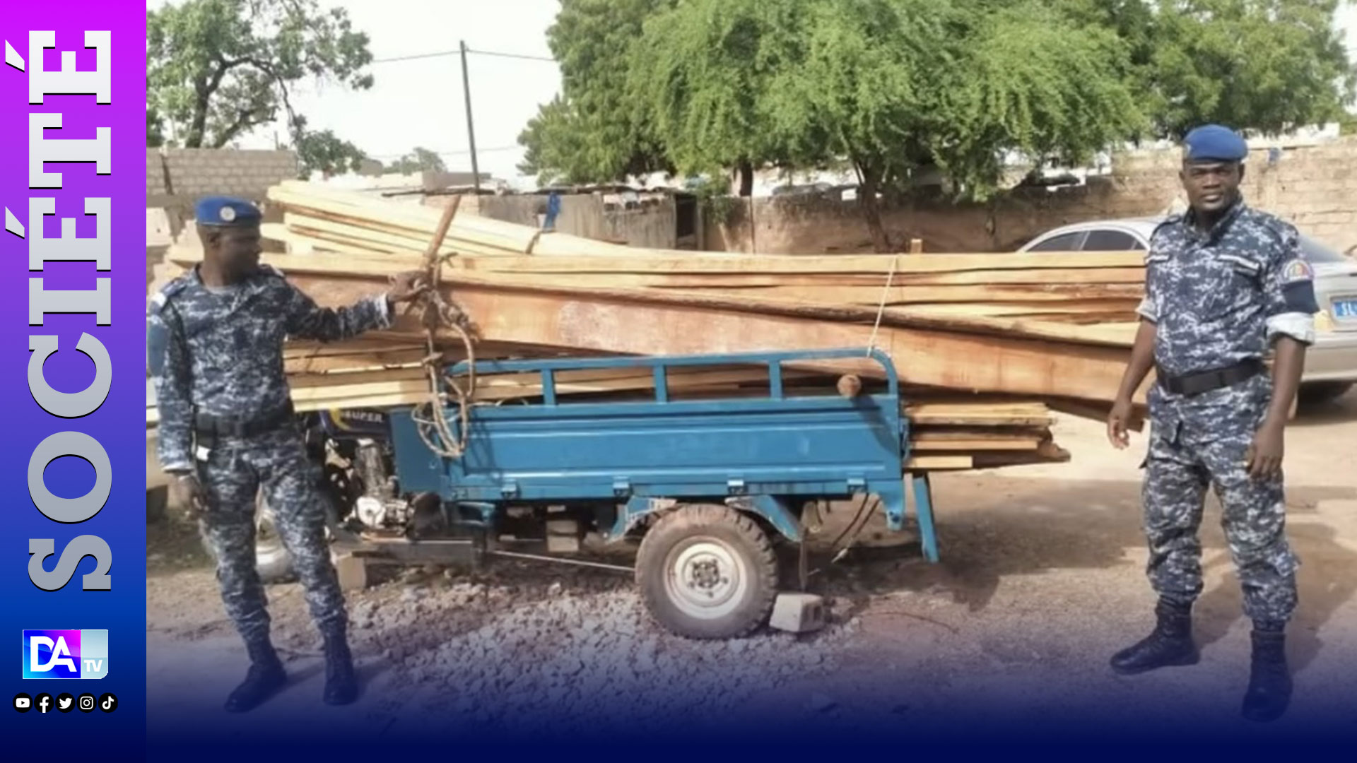 Lutte contre le trafic illicite de bois dans le sud : la gendarmerie saisit 46 planches de bois de Kapokier et des troncs d'arbre.