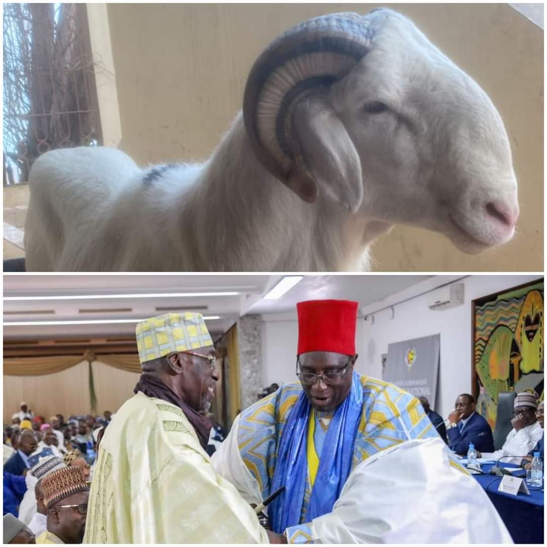 ​Tabaski 2023: Le geste noble de Pape Ibrahima Diagne envers son grand frère Abdoulaye Makhtar Diop