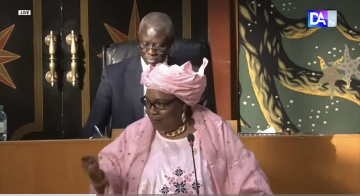 dob-assembl-e-nationale-a-da-sow-diawara-rappelle-les-urgences