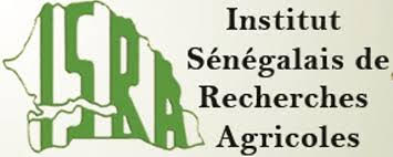 Décrets en souffrance dans les tiroirs des  ministères - Les chercheurs de l’ISRA s’inquiètent et parlent de négligence regrettable !