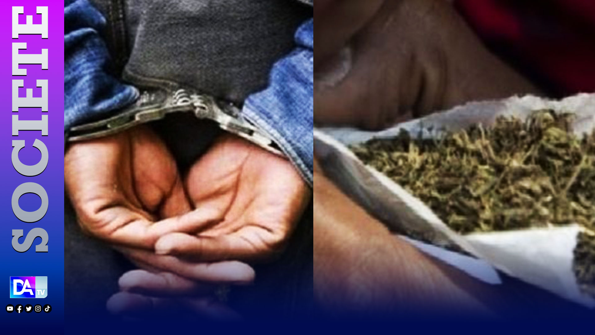 Détention de drogue : pris avec 50 grammes de chanvre indien, le prévenu M. Sy minimise « Lólu beuriwul ».
