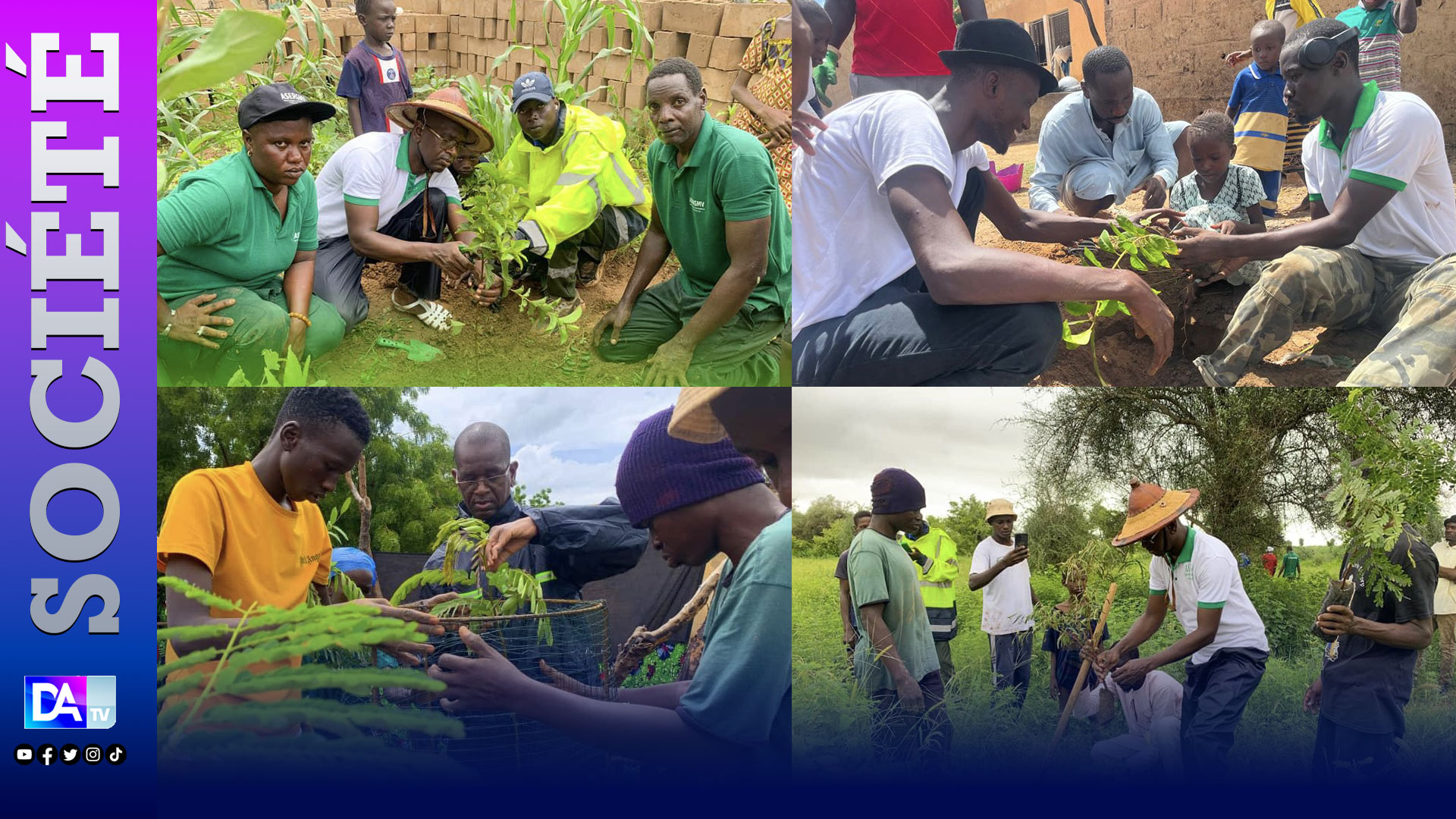 MATAM/Campagne de reboisement 2023 : près de 3000 plants reboisés à Danthiady et à Bokidiawé