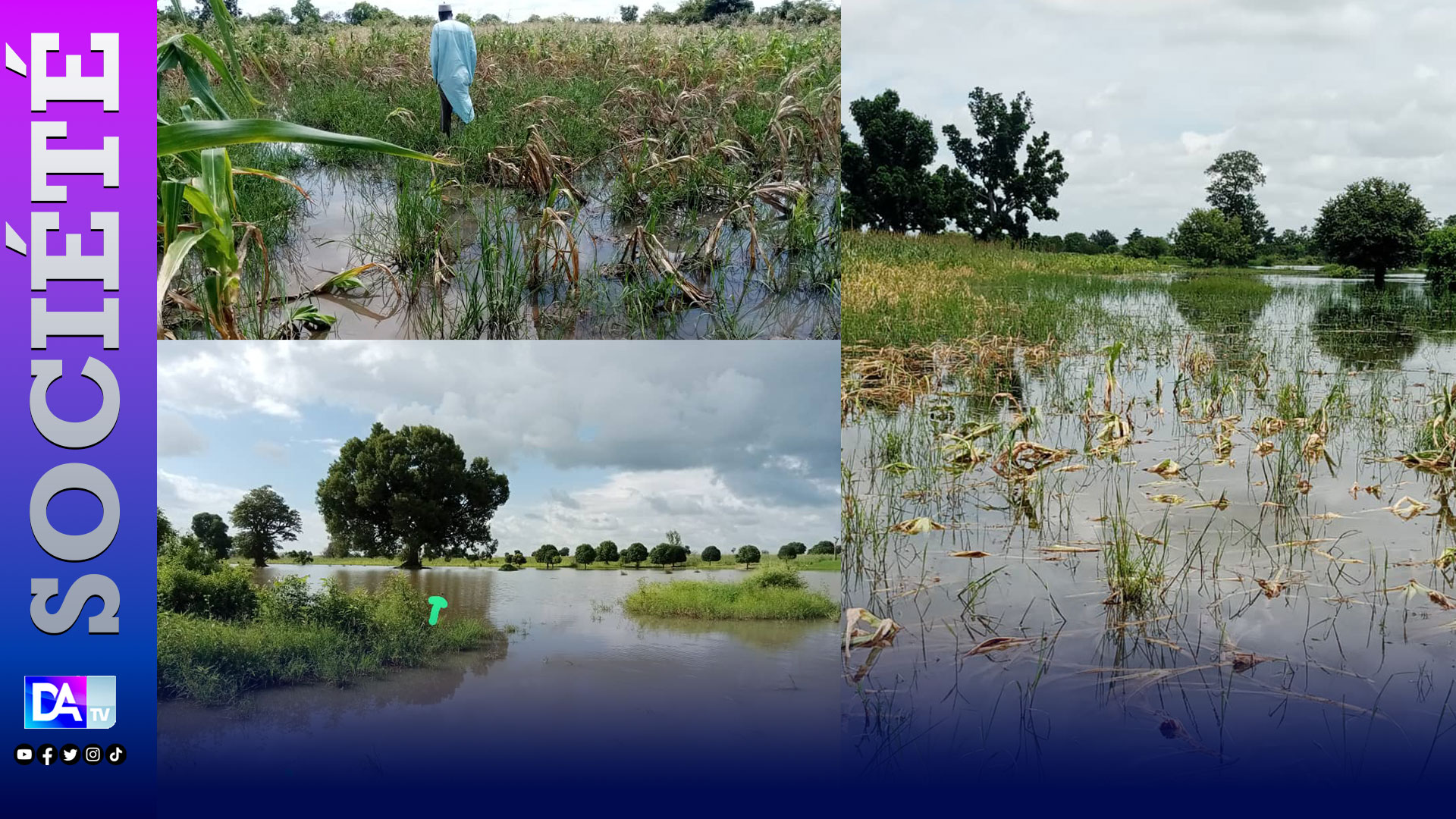 Toubacouta : Plusieurs champs endommagés par les fortes précipitations...3 villages touchés (Images)