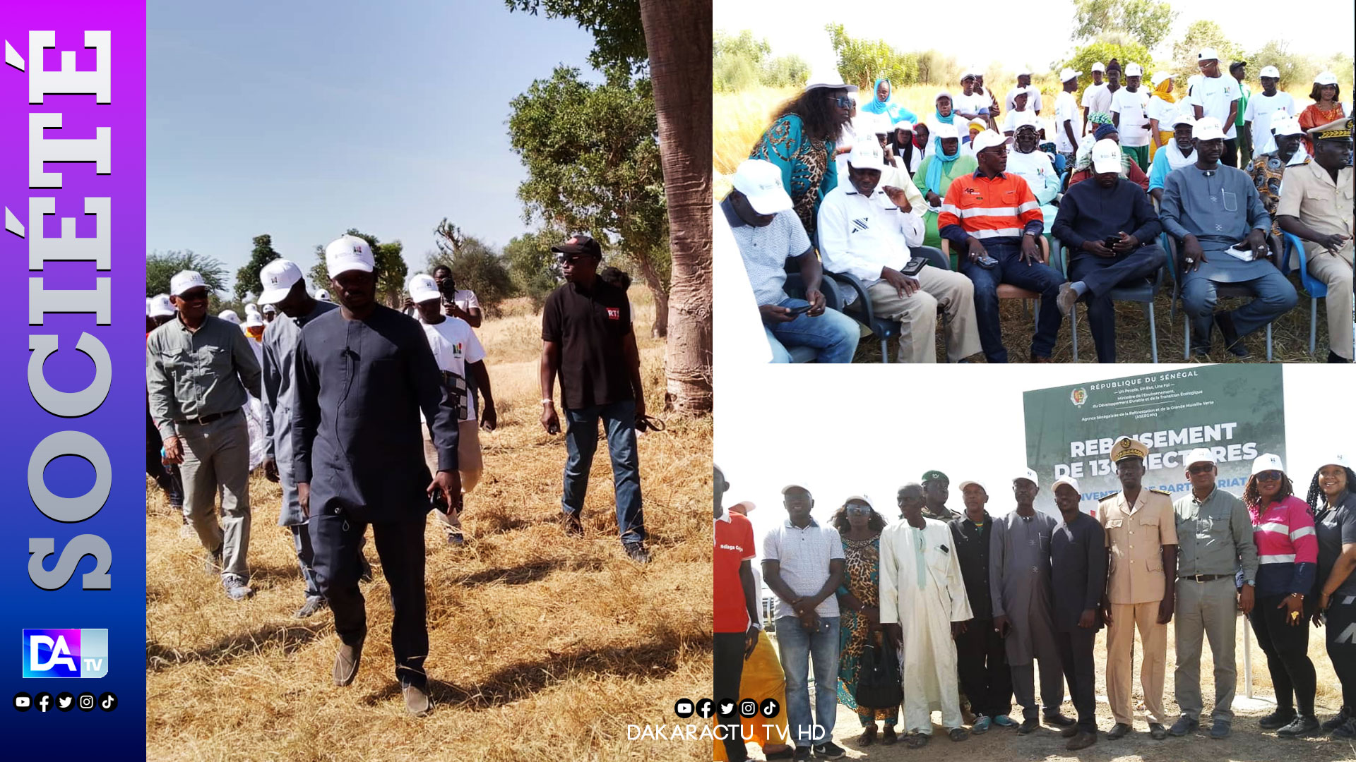 Bakel / Résilience des communautés : la fondation Endeavour Mining et ASERGMV réduisent le chômage à travers des arbres à valeur économique.