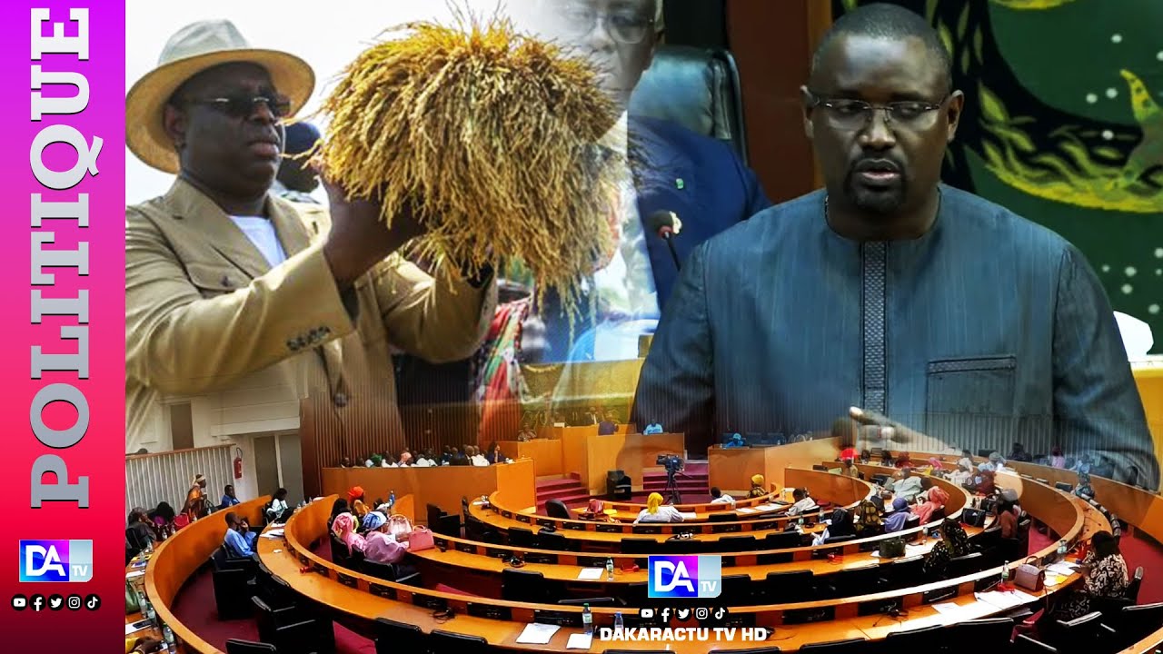 Prix plancher du Kg d’arachide à 280 francs : Les éclairages du ministre Samba Ndiobène Ka