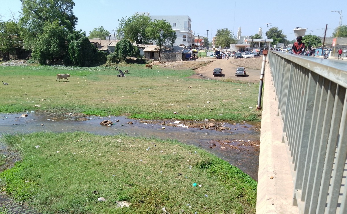 KOLDA : Quels impacts de la COP28 sur le fleuve Casamance, l’élevage et l’agriculture… ?