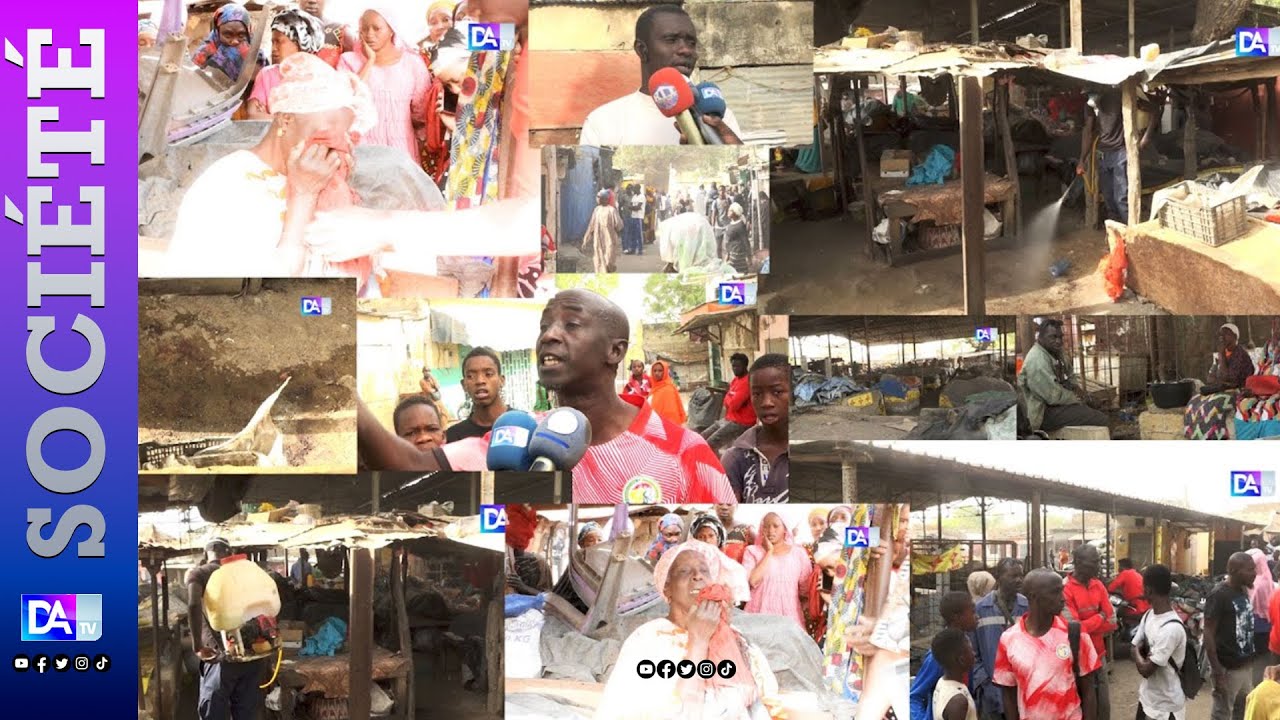 Thiès : vigile égorgé au marché Ngelaw, son menton emporté par les malfaiteurs