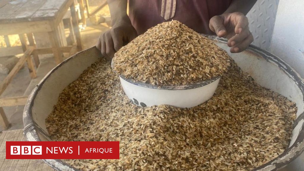 Nigéria : désavantagé par l’augmentation du coût de la vie, le riz « à jeter » s’invite à la table de la population