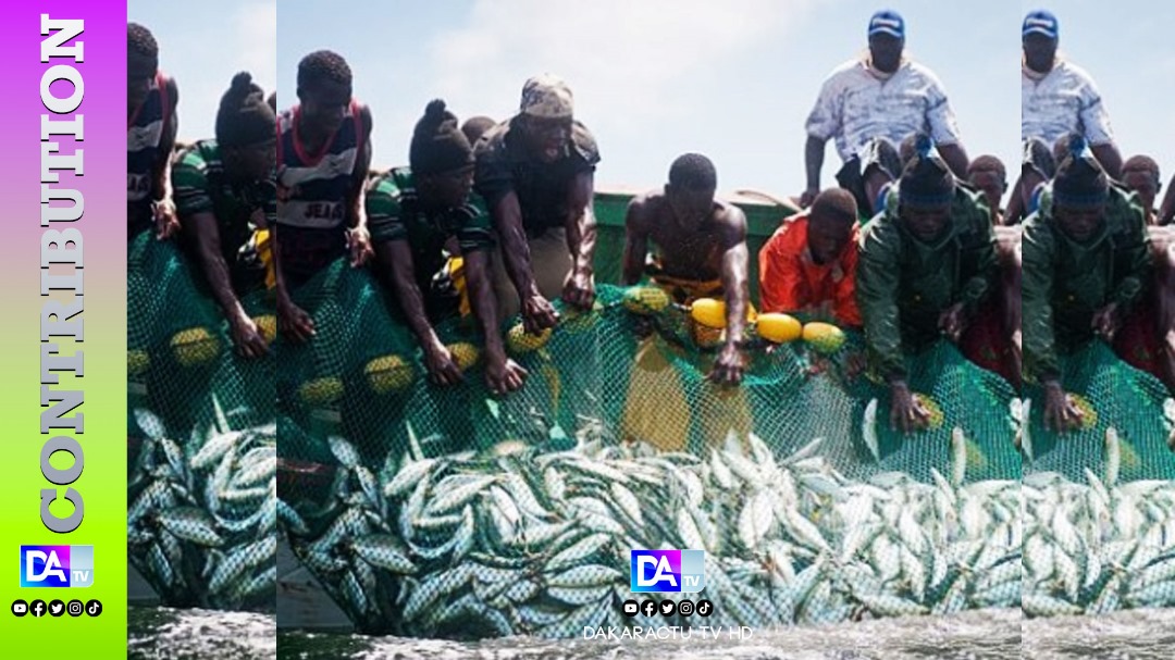 La révolution du secteur de la pêche: Une urgence pour les nouvelles autorités