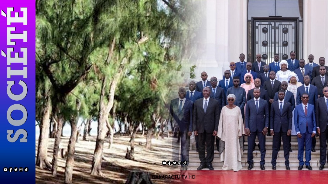 Bande des filaos : Un ministre très proche de Ousmane Sonko est attributaire d’un terrain