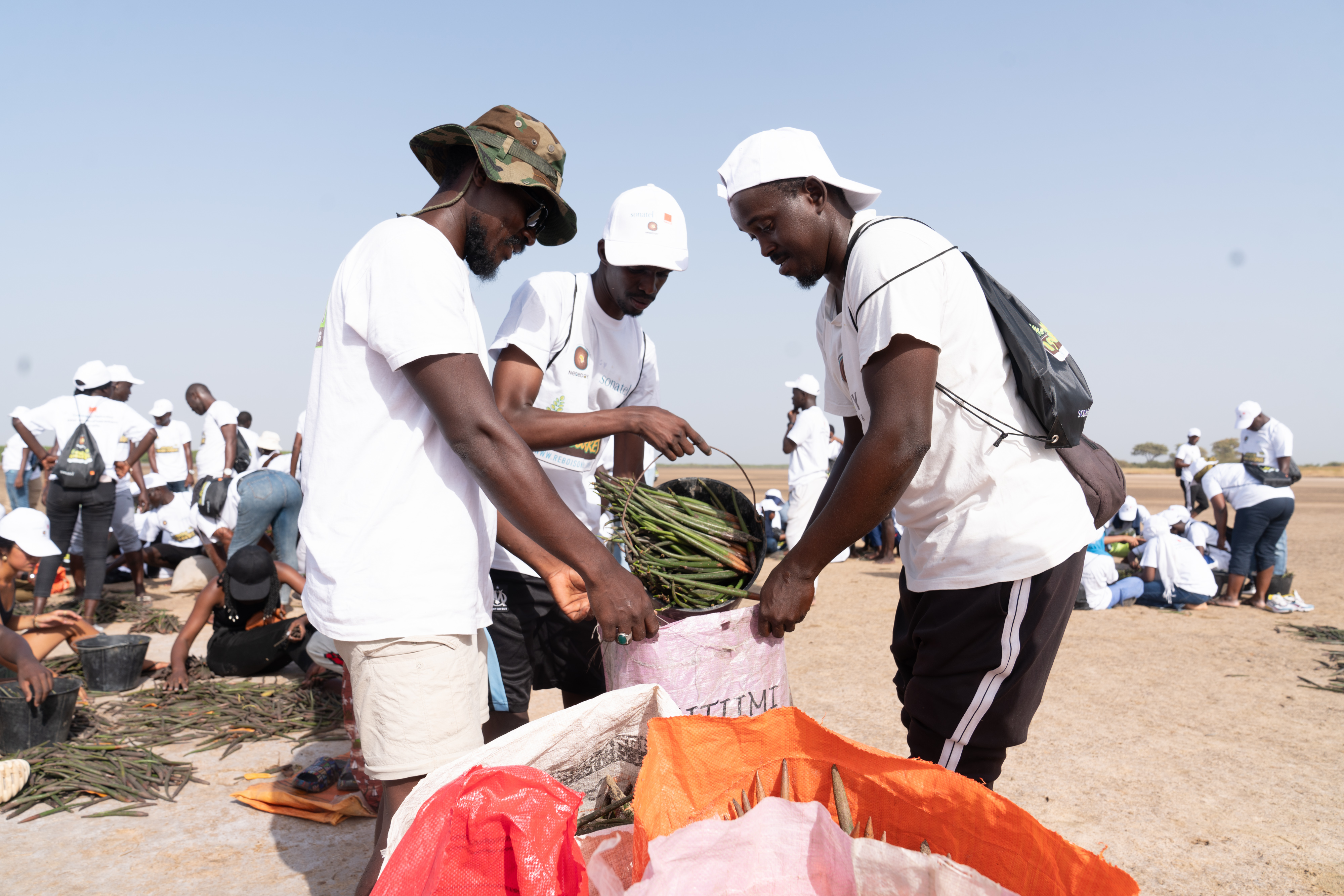 Journée Mondiale de l'Environnement : Sonatel et la plateforme Orange Engage for Change, s’engagent…