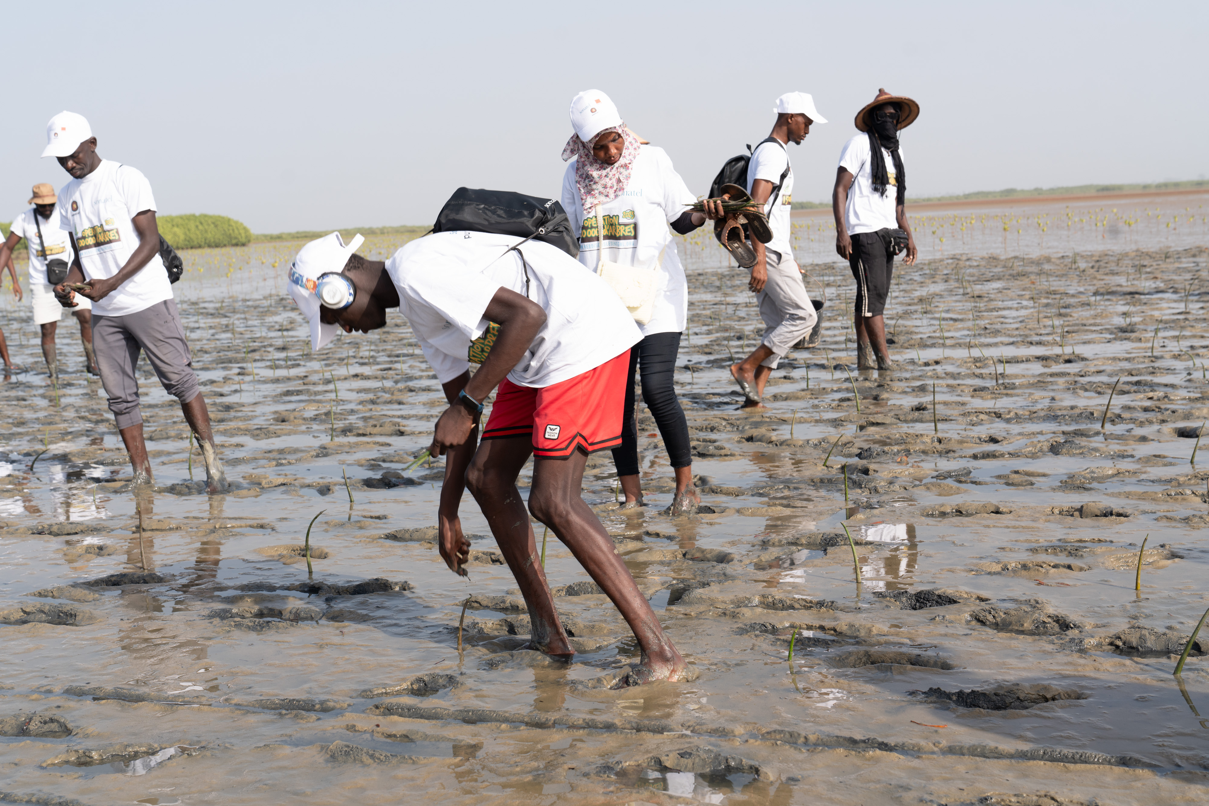 Journée Mondiale de l'Environnement : Sonatel et la plateforme Orange Engage for Change, s’engagent…