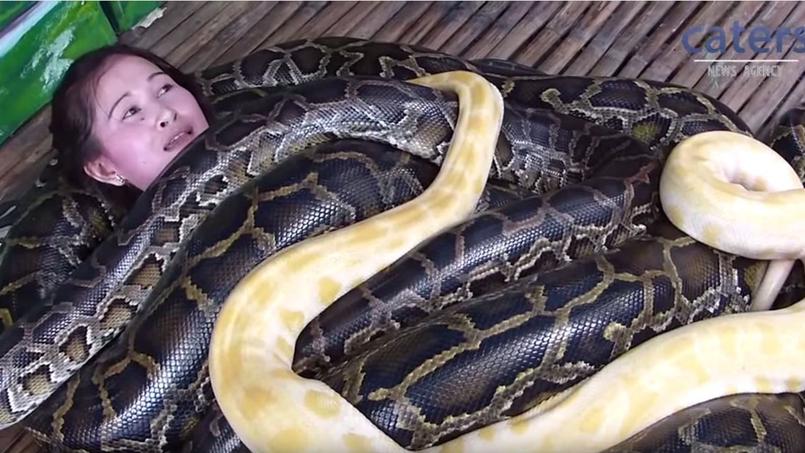 Un zoo philippin propose des massages... aux serpents