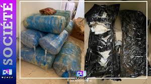Trafic de drogue : 471kg de chanvre saisis à Yenne