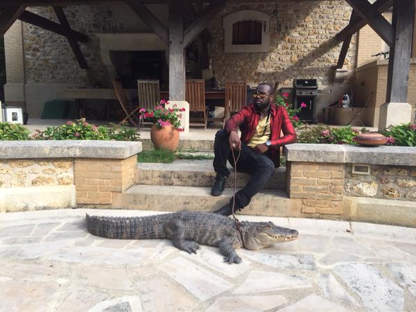 Maître Gim's pose  avec un crocodile 