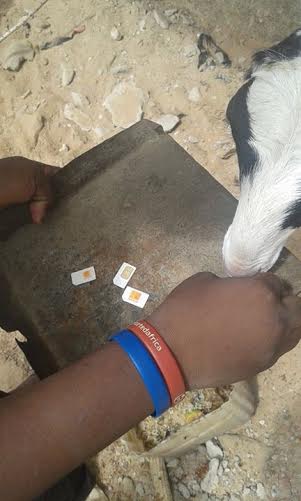 Boycott du réseau Orange : ce que les abonnés font de leur puce (IMAGES)