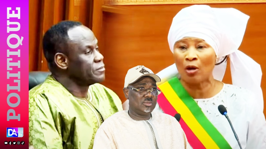 Levée de l'immunité parlementaire de Farba Ngom: "Avons-nous été justes avec notre collègue ? » (Aïssata Tall Sall)