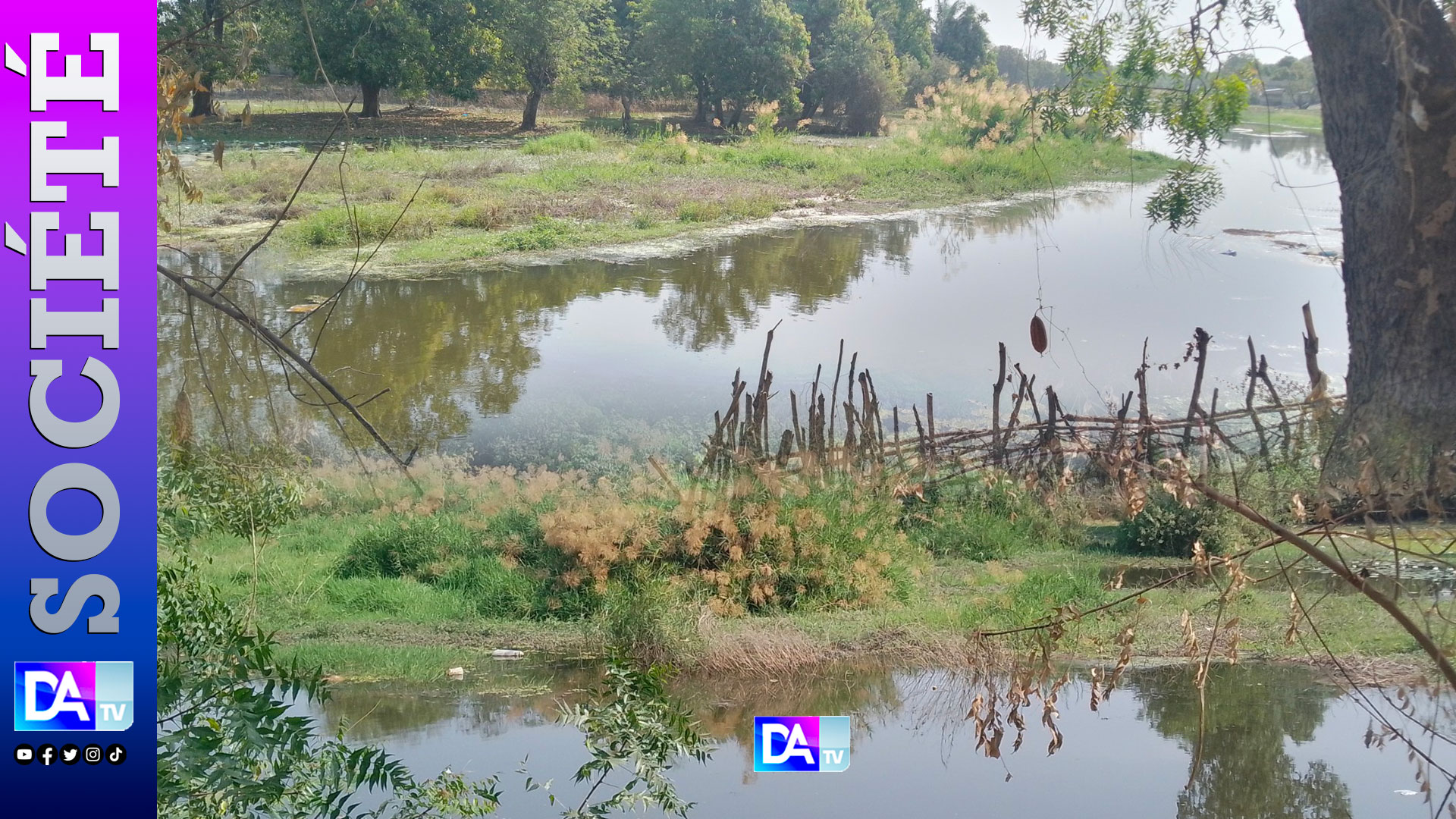 Revitalisation du fleuve Casamance à Kolda : les populations attendent la promesse du ministre de l’Hydraulique et de l’Assainissement