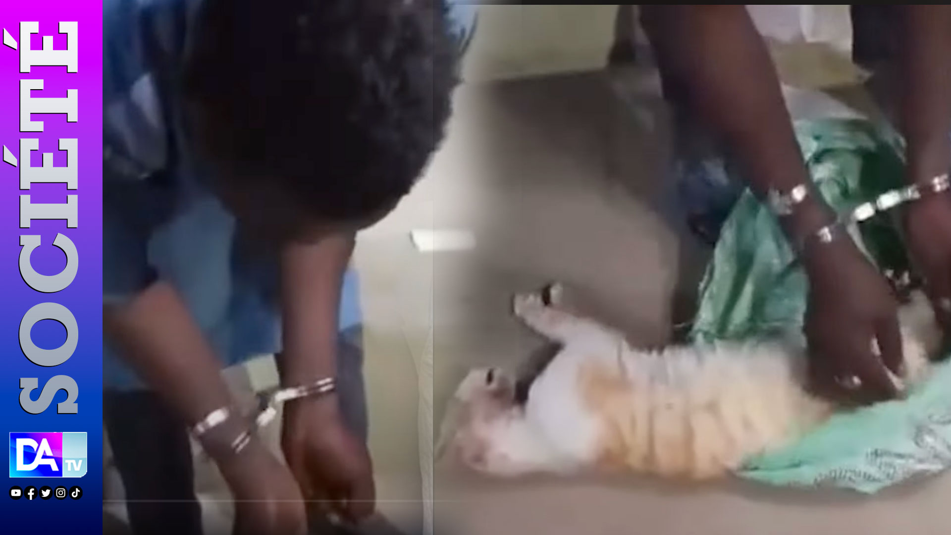 Brochettes, amulettes ou médecine occulte ? Ce que cache L’étrange affaire des Nigériens arrêtés avec un chat tué à la Médina