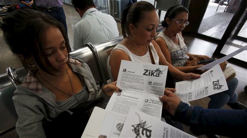 L'OMS déclare que le virus Zika est une urgence de santé publique de portée internationale