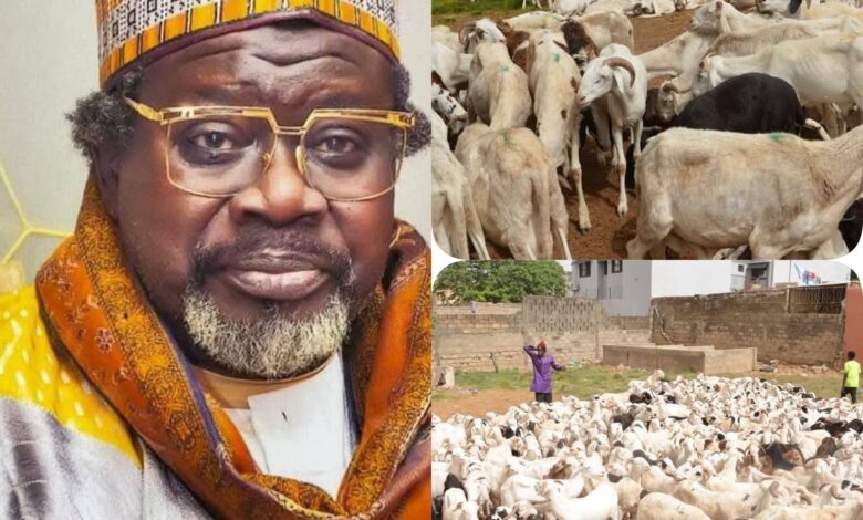 Médina Baye : L’Imam Cheikh Tidiane Aliou Cissé distribue 700 béliers aux familles démunies à l’occasion de la Tabaski 2025