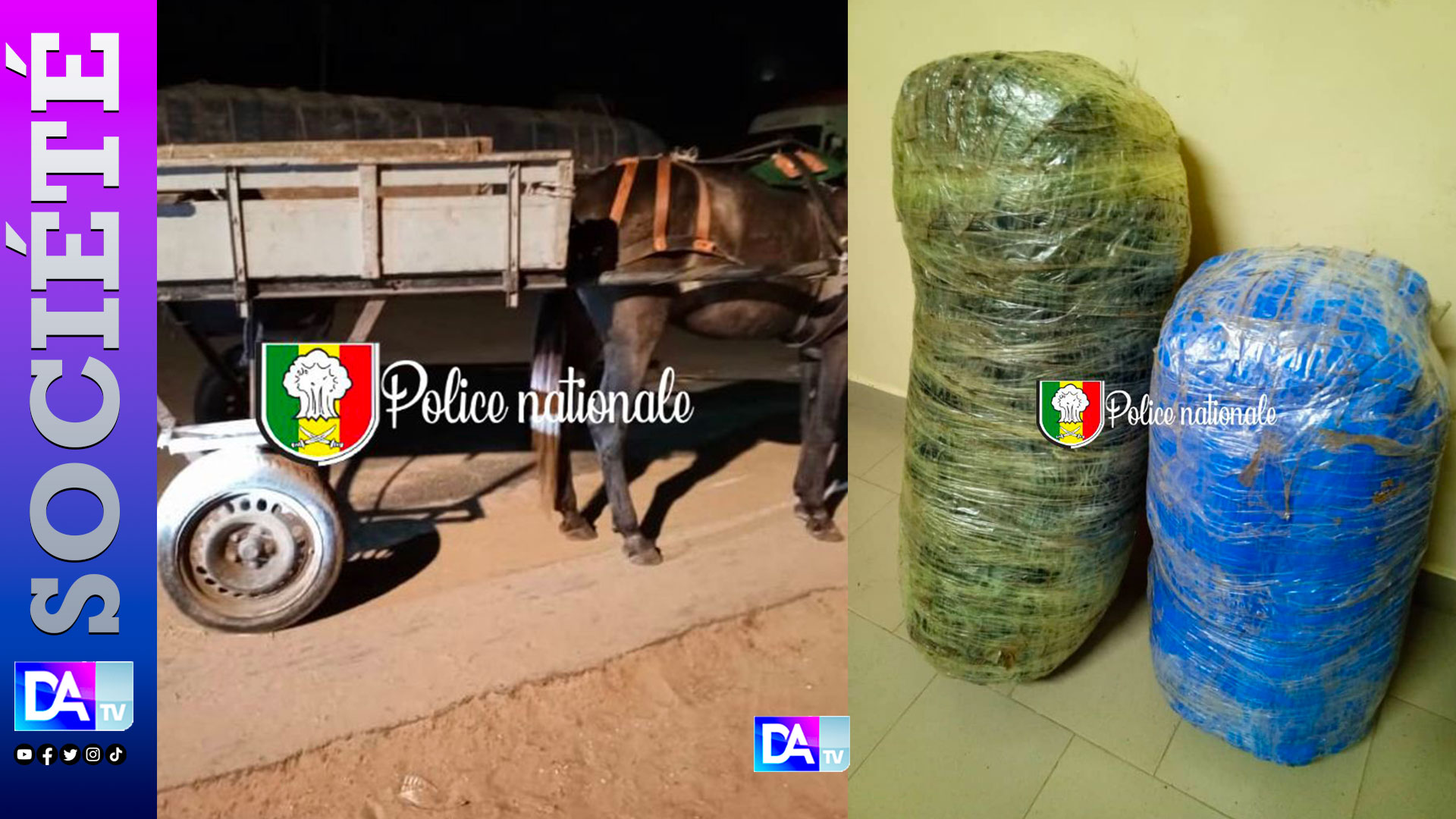 Sandiara : 42 kg de chanvre indien saisis, les trafiquants en fuite