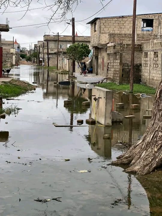 Commune de Kaolack- inondations à Thioffack: Une quarantaine de maisons sous les eaux, les habitants dans le désarroi