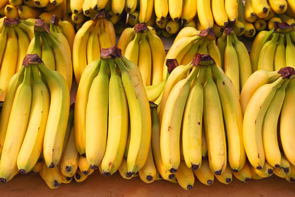 Filière Banane : Les importations au Sénégal, suspendues à partir du 1er septembre