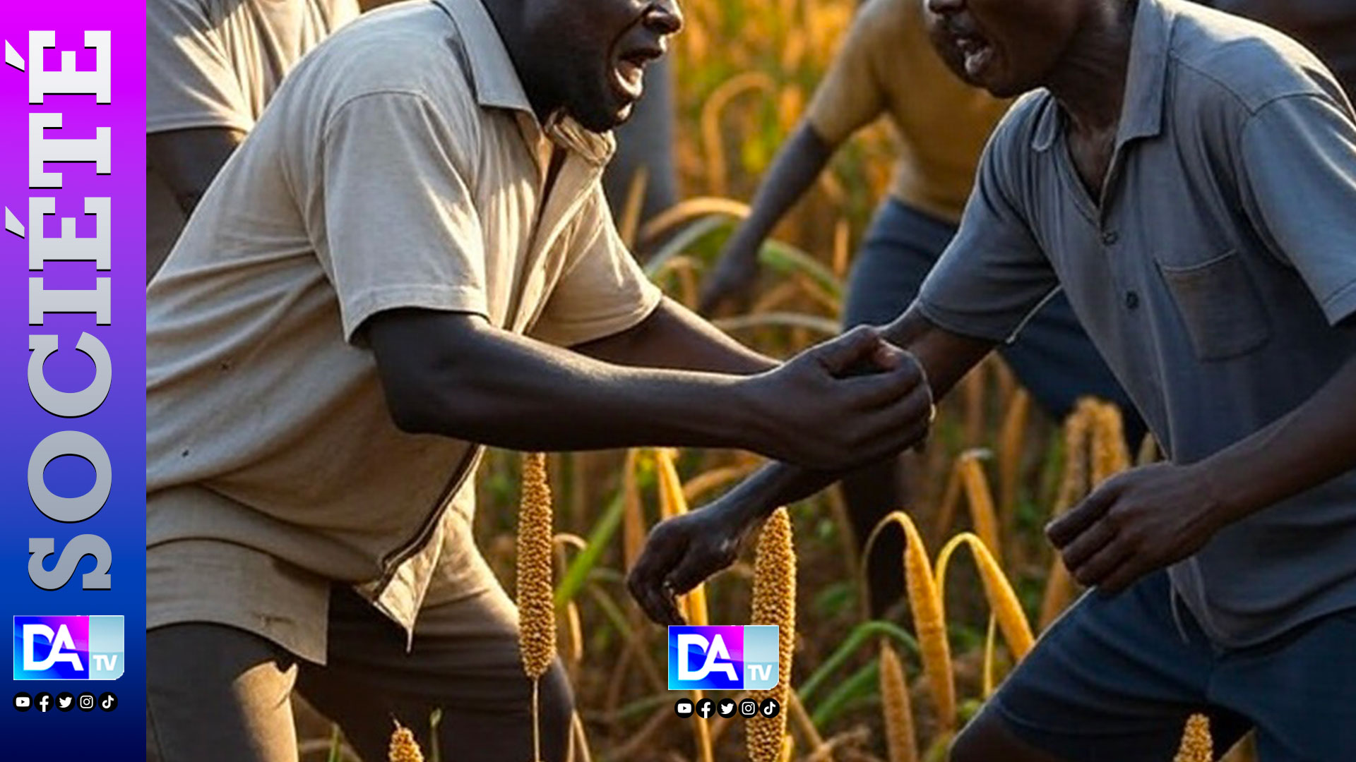 Drame à Mboro : un champ de mil transformé en arène sanglante entre agriculteur et bergers
