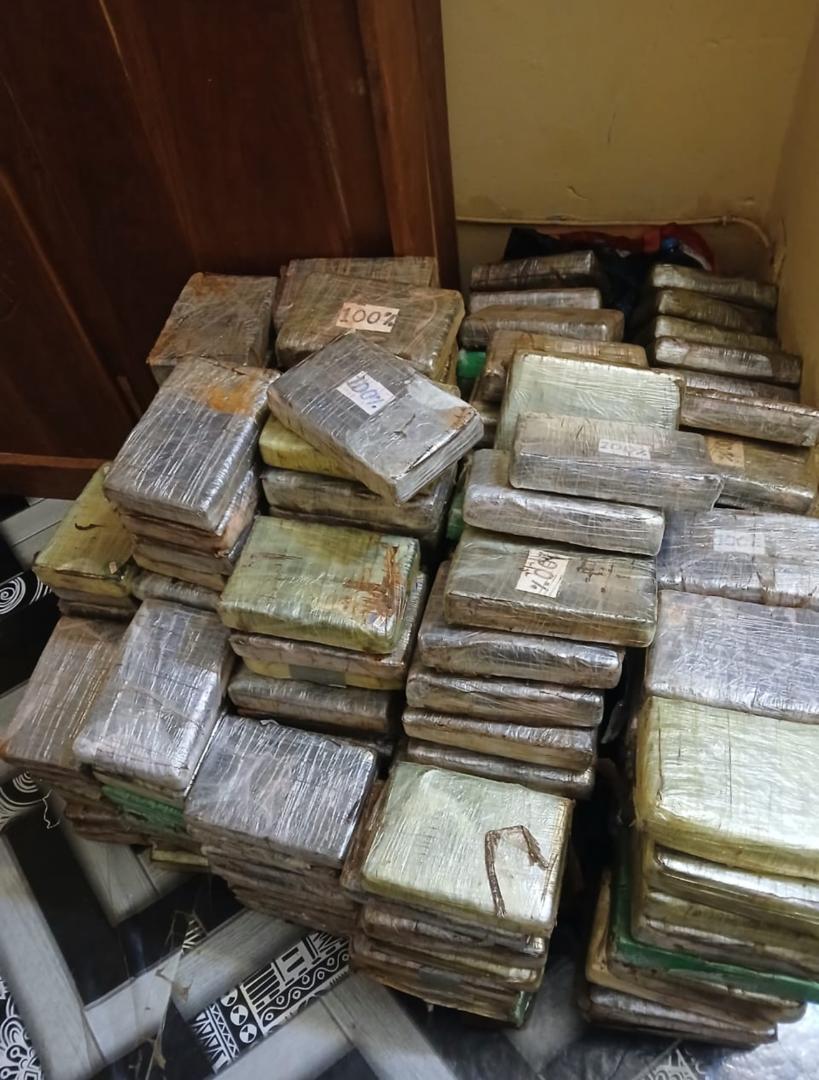 Trafic de drogue : La douane met la main sur 240 plaquettes de cocaïne d’une contrevaleur de 21 milliards 780 millions de francs CFA. Trafic de drogue : La douane met la main sur 240 plaquettes de cocaïne d’une contrevaleur de 21 milliards 780 millions de francs CFA.