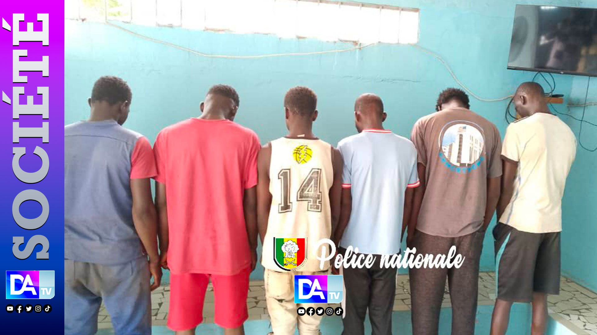 Kolda : Six individus arrêtés pour vol de bétail et abattage clandestin