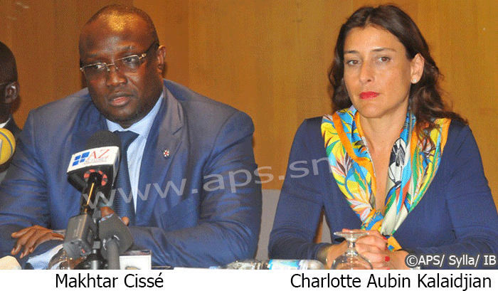 CENTRALE PHOTOVOLTAÏQUE : 180.000 sénégalais vont accéder à l'électricité en septembre prochain