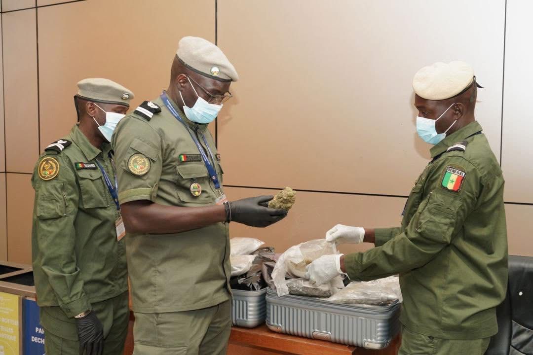 ​Saisie de haschich à l’AIBD : un trafiquant arrêté avec plus de 32 kilos de résine de cannabis