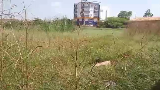 Kaolack- Salles de classe inondées et délabrées: Pas de cours au Cem Moustapha Ndiaye